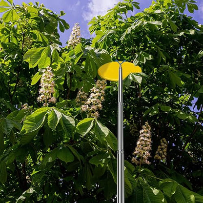 Disc Golf Retriever Pole Telescopic Disc Golf Tool with 3 Hooks Golf Discs Retriever for Water Outdoor Disc Sports Starters 16FT - size: 16FT aluminum