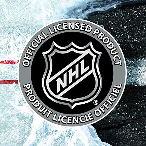 Franklin Sports NHL Street Hockey Goals - Outdoor Steel Street + Roller Hockey Nets - 72" x 48"